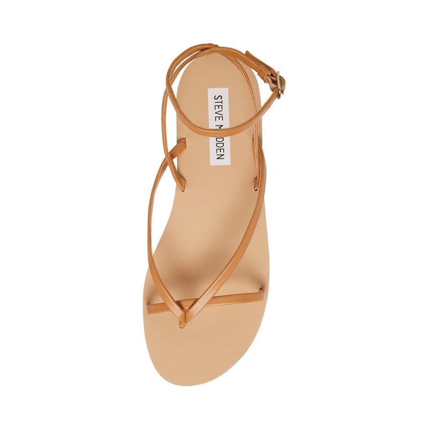 Sandalias Planas Steve Madden Amuse Mujer Marrones | ES PKS031